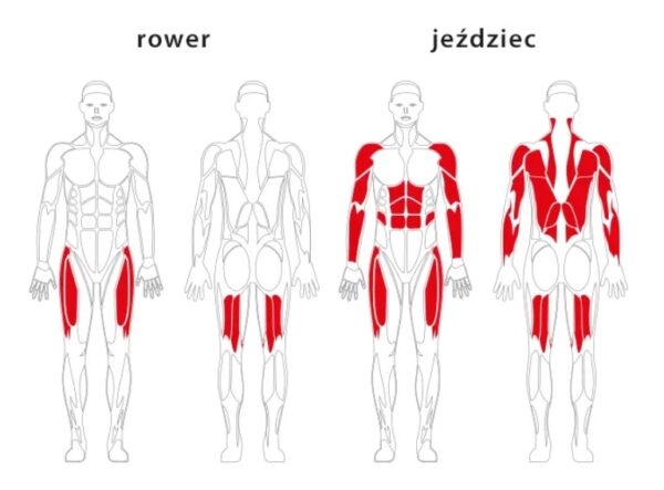URZĄDZENIE do ćwiczeń Rowerek BIG 09 i Jeździec BIG 10 Siłownie zewnętrzne - obrazek 5
